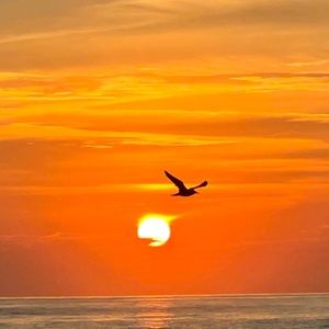 Meet your Posher, Rhonda